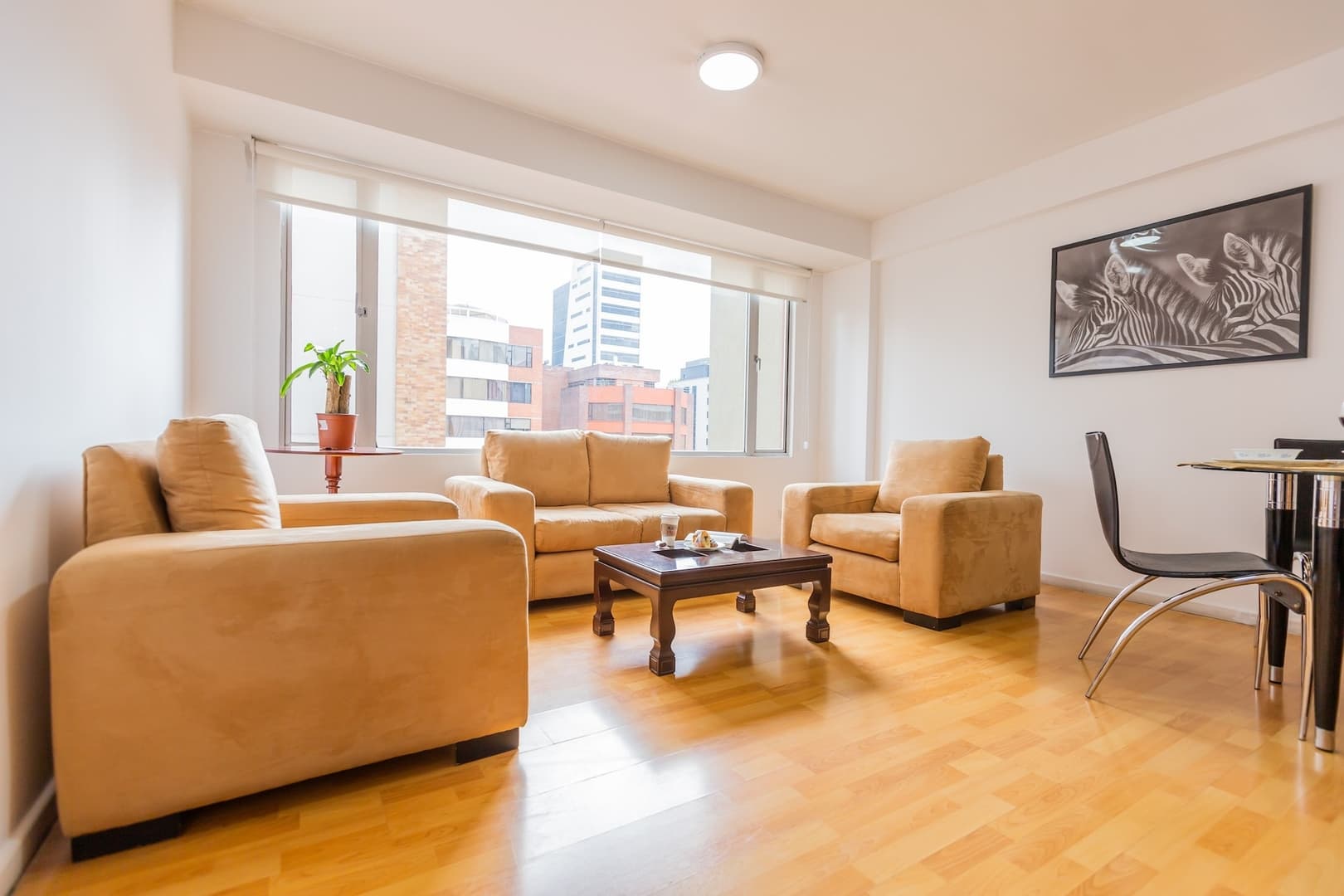 Savanna Suite Rep. Salvador